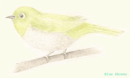 painting_0013_mejiro