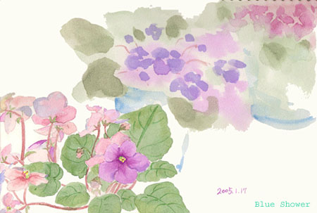 painting_0027_saintpaulia