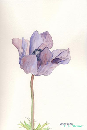 painting_0039_MissAnemone