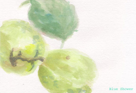 painting_0077_etegamiJapaneseApricot