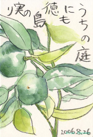 painting_0083_etegamiSudachi