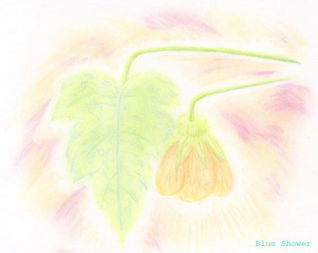 painting_0085_abutilon