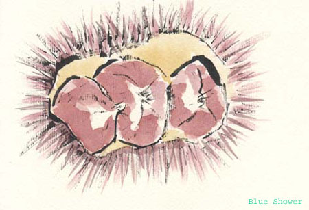 painting_0092_etegamiKuri