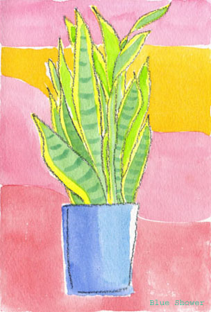 painting_0102_sansevieria