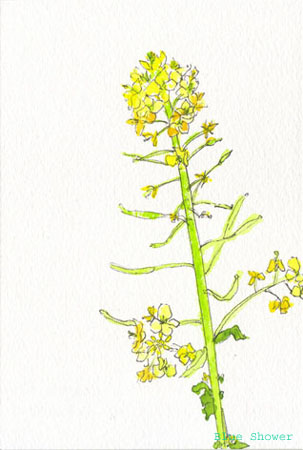 painting_0109_Hanana