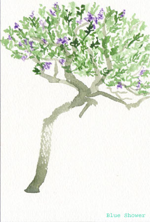 painting_0116_rosmarinus