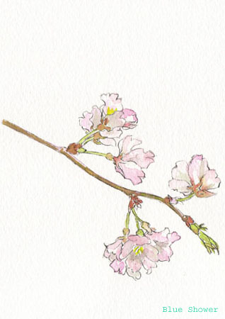 painting_0128_cherryTree