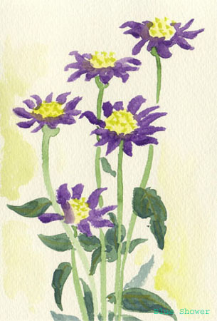 painting_0136_ChinaAster_1