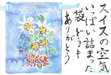 painting_0148_edelweiss