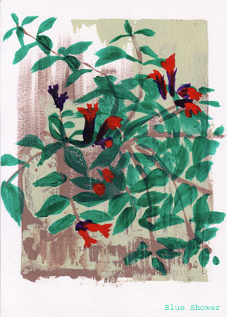painting_0166_aeschynanthus
