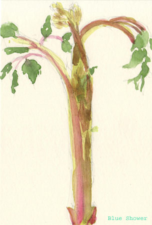 painting_0221_udo_20080425