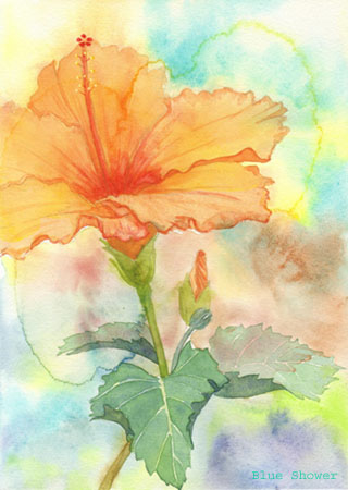 painting_0229_hibiscus_20080529