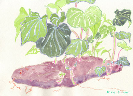 painting_0243_microcosm_20080717