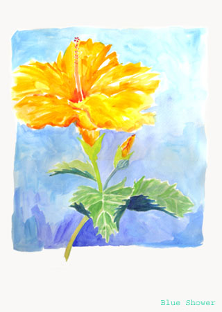 painting_0283_hibiscus_20081012
