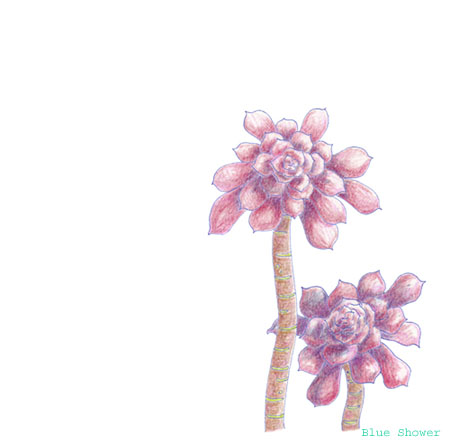 painting_0296_kurohoushi_20081226
