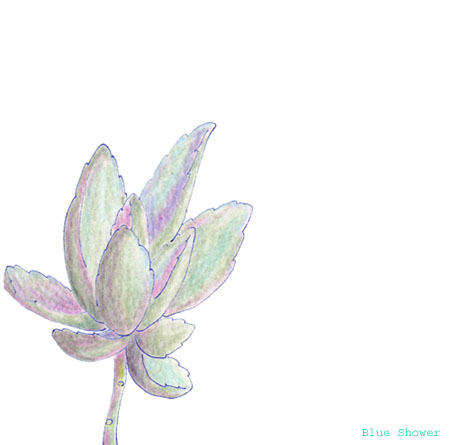 painting_0298_kalanchoe_20081226
