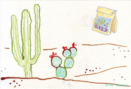 painting_0314_cactusSeeds_20090328