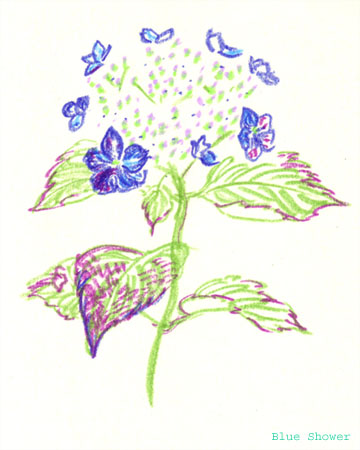 painting_0327_yamaAjisai2_20090627
