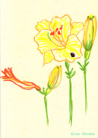 painting_0328_NikkoKisuge_20090627