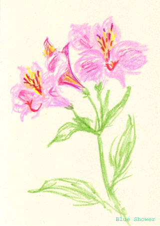 painting_0330_Alstroemeria_20090627
