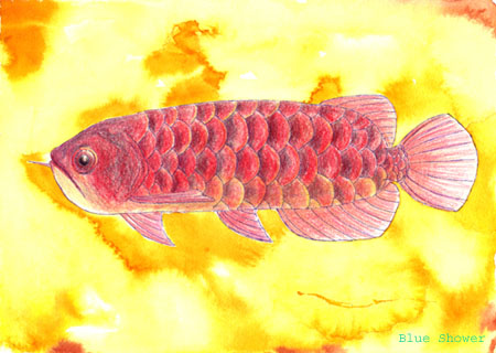 painting_0336_ancientFish2_20090725