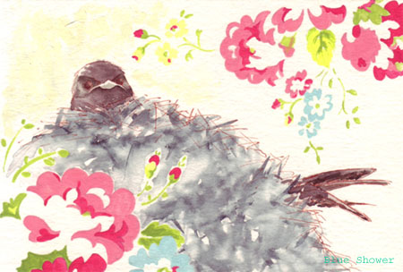 painting_0338_swallow_20090809