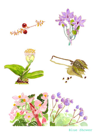 painting_0351_kokemomo_20091016